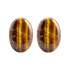 Tiger's Eye